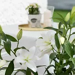 فندق مبيت وإفطار Zwierzynscy 2 3*