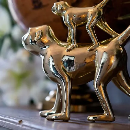 לינה וארוחת בוקר Zwierzynscy 2