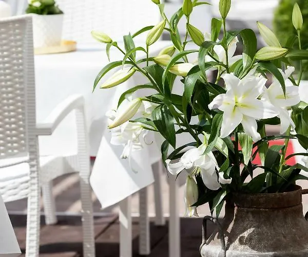 Zwierzynscy 2 לינה וארוחת בוקר