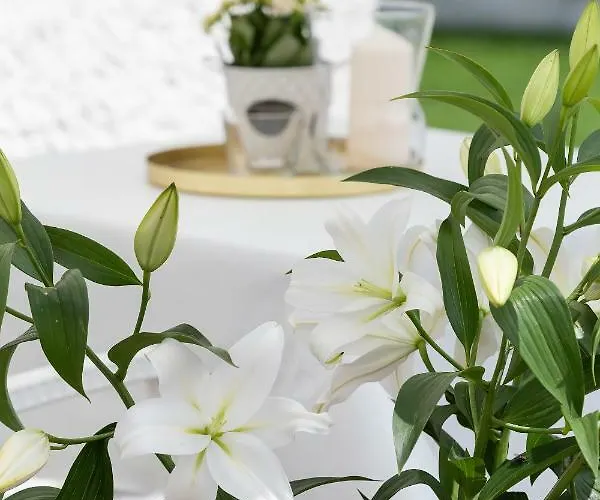 Bed & Breakfast Zwierzynscy 2 3*